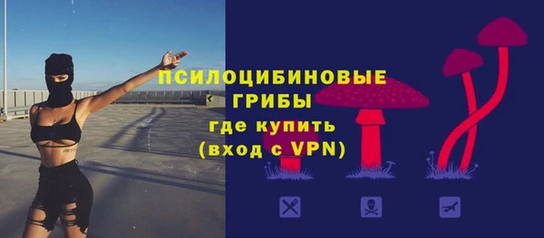 ПСИЛОЦИБИНОВЫЕ ГРИБЫ Алзамай