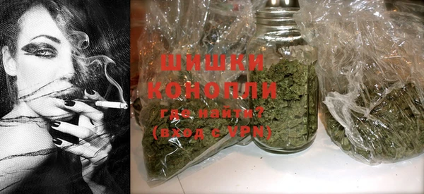 ПСИЛОЦИБИНОВЫЕ ГРИБЫ Алзамай