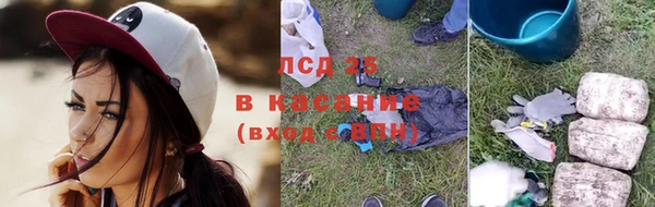 ПСИЛОЦИБИНОВЫЕ ГРИБЫ Алзамай