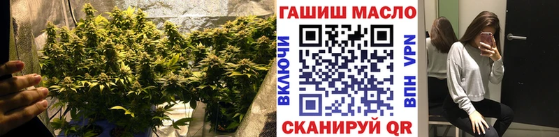 Дистиллят ТГК THC oil  даркнет наркотические препараты  Себеж  как найти закладки 