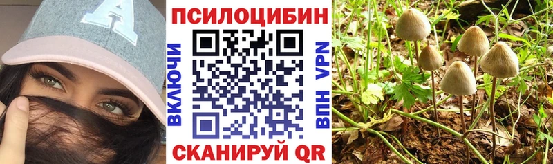 Галлюциногенные грибы Magic Shrooms Себеж